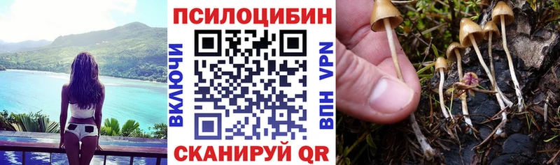 Галлюциногенные грибы мухоморы  как найти закладки  Новая Усмань 